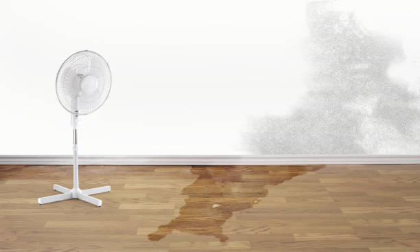 Best Water damage contractors near me  in Sugarcreek, PA