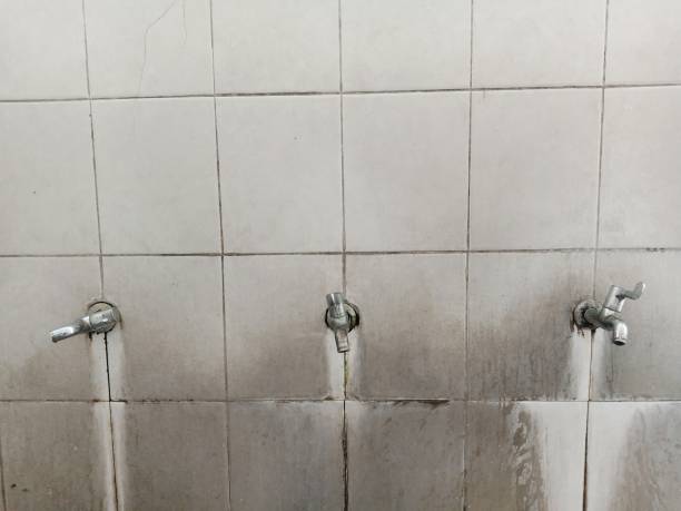 Best Professional water damage repair  in Sugarcreek, PA