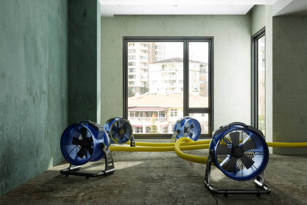Best Local water damage restoration  in Sugarcreek, PA