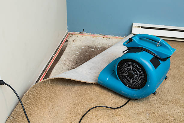 Best Residential water damage restoration  in Sugarcreek, PA